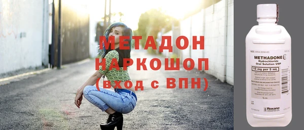 индика Алексин