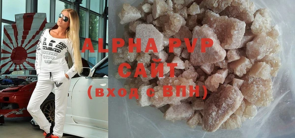 индика Алексин