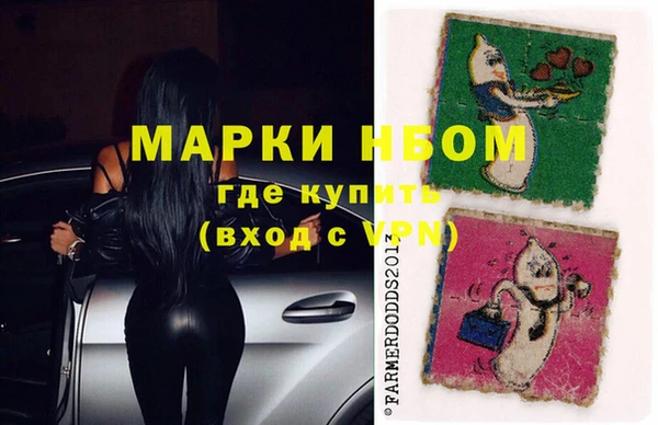 индика Алексин