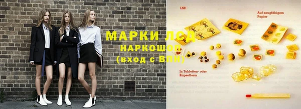индика Алексин